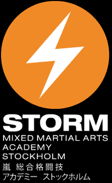 mmastorm_logotype